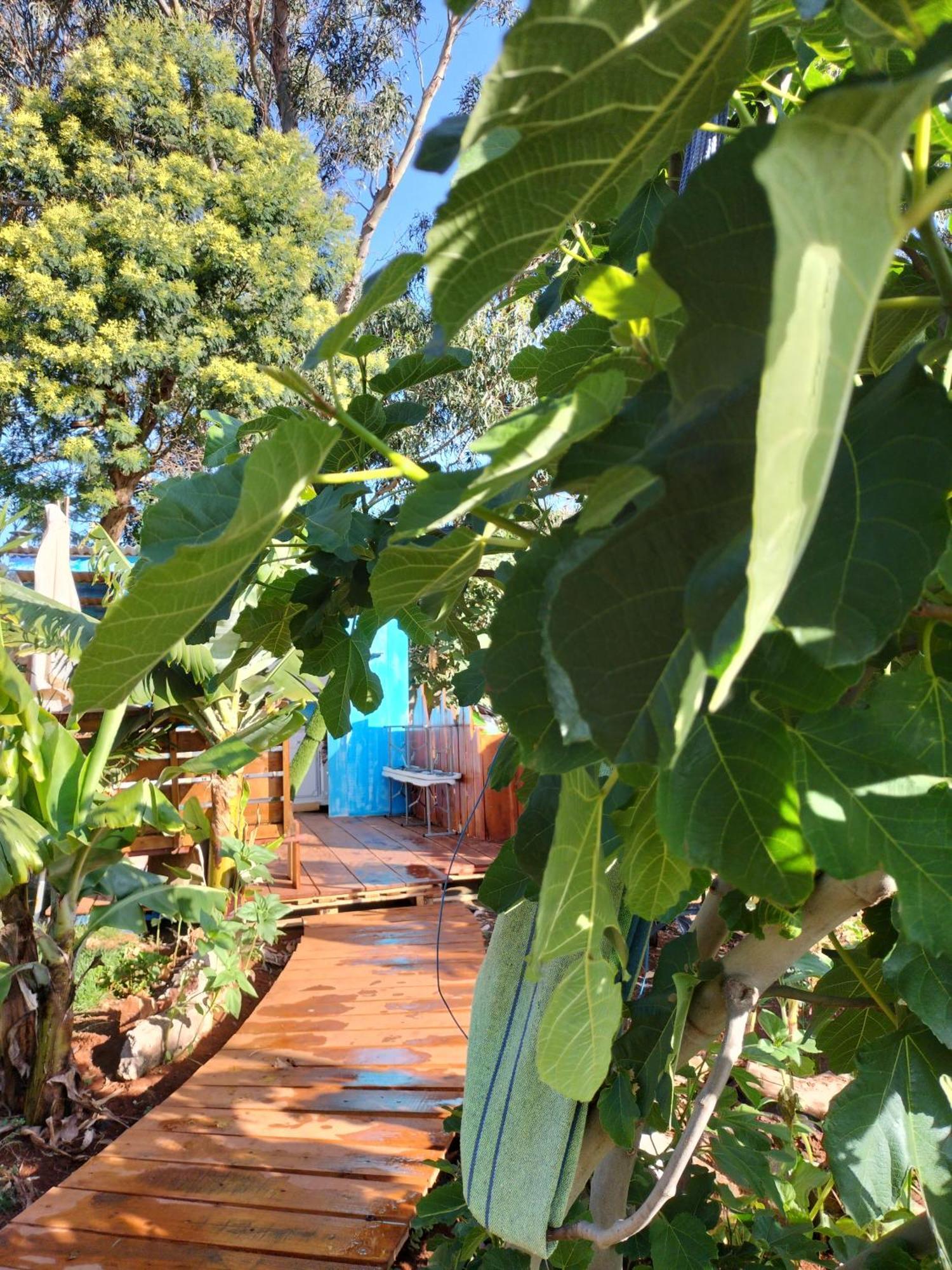 הוילה מצ'יקו Sea Mountain House מראה חיצוני תמונה